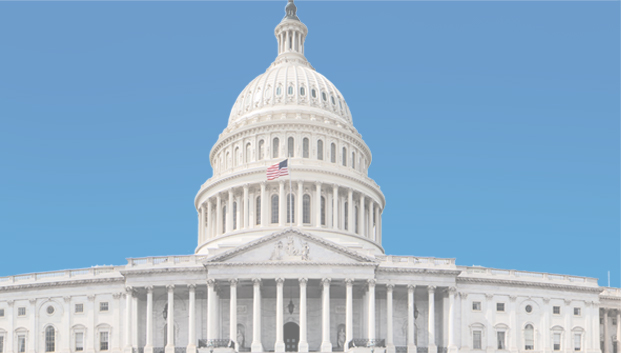 United States Capital Building in Washington, D.C.